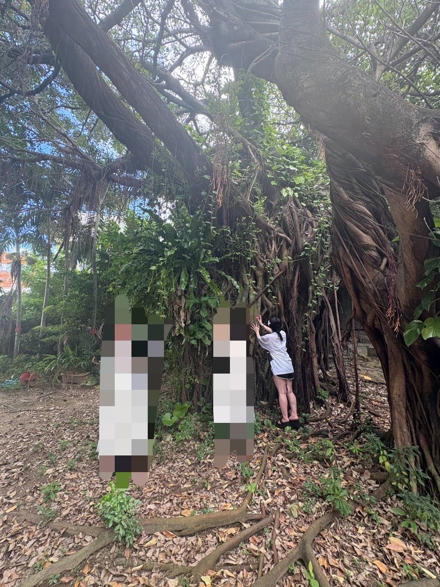 カルマを解消 tweet media