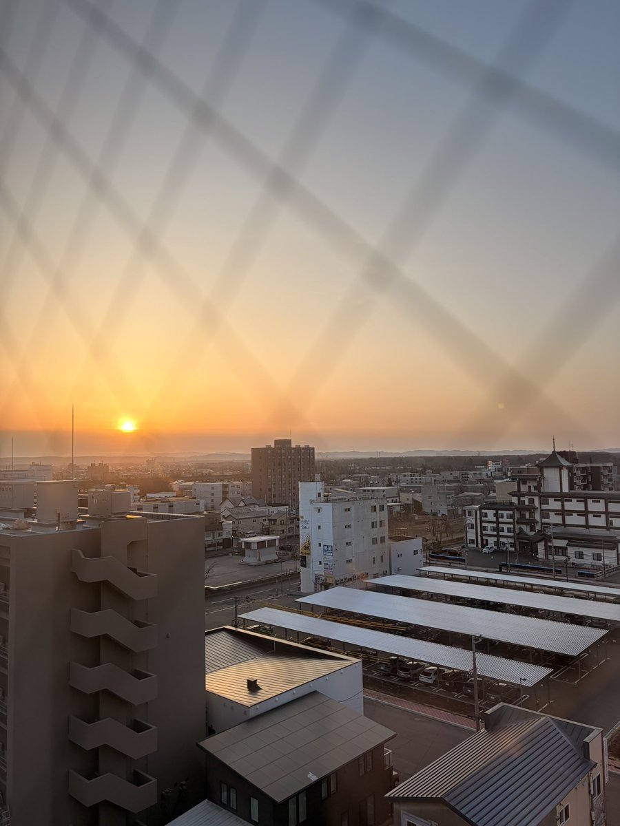 ´⌯ ̫⌯` tweet media