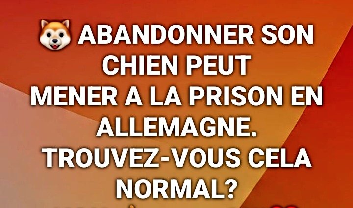 Jacob Shukuru tweet media