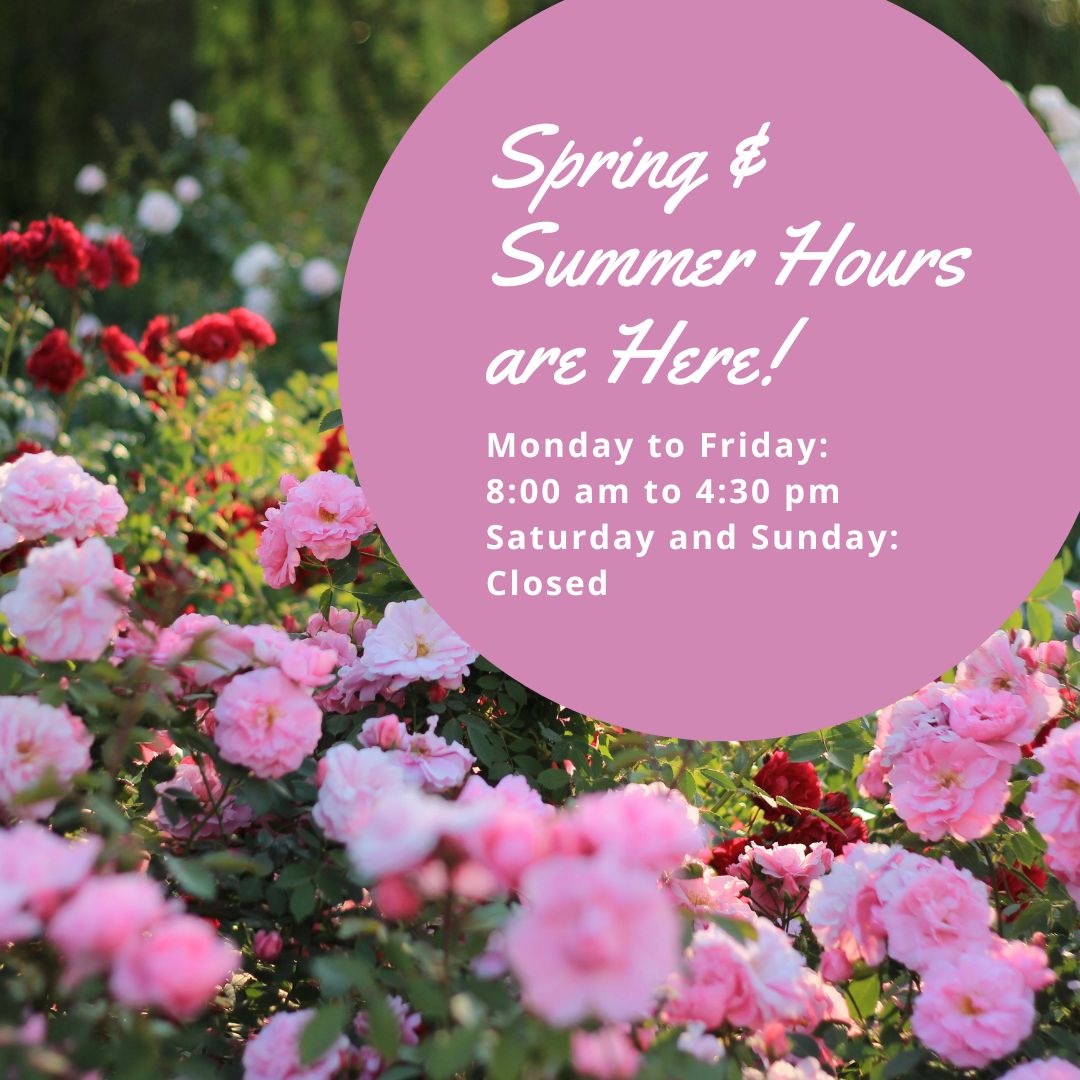 LoyalistLibrary's tweet photo. It's the last day for evening hours! Starting on Monday, April 20, the Library will be open from 8:00 am to 4:30 pm, Monday through Friday. All of our services and resources are available all summer long, so if you need something, let us know! Evening hours will resume Fall 2026. https://t.co/TalJsqSamq