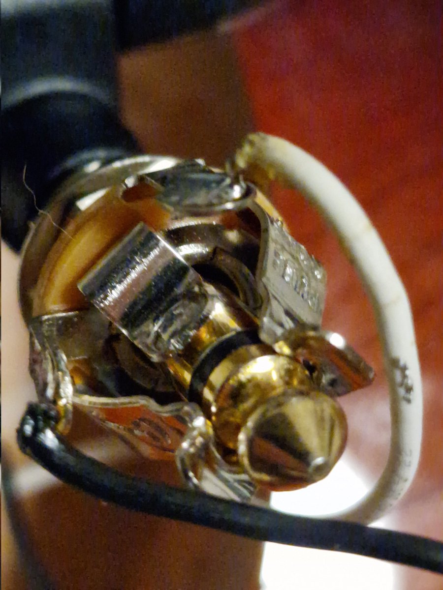 Barrell Titor tweet media