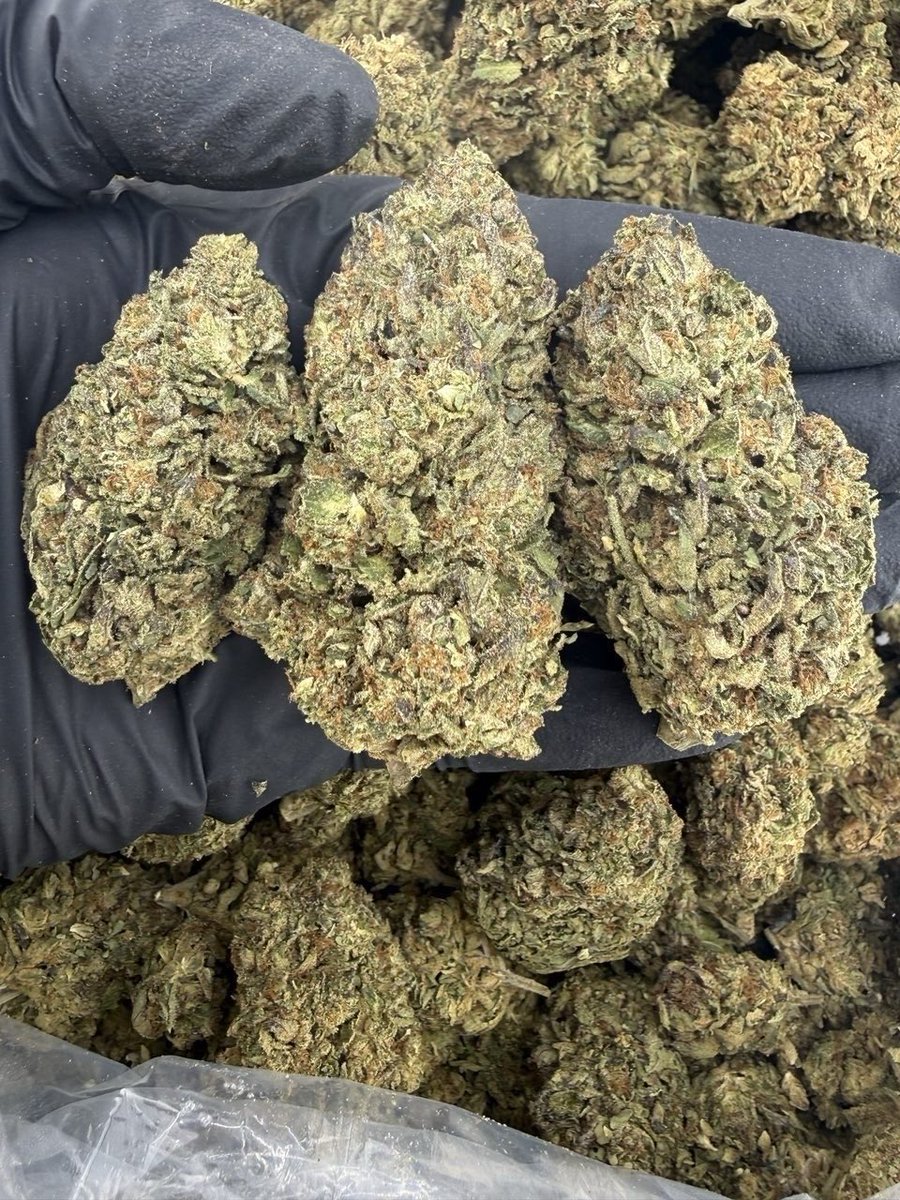 PremiumZaUs's tweet photo. 🌿 Cannabis isn’t just a vibe… it’s a lifestyle.
Relax, focus, create  however you use it, enjoy responsibly.

#CannabisCommunity #420Life #StayLifted #WeedTwitter https://t.co/093jATYIJa