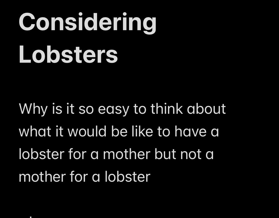 Morgan Michelle tweet media