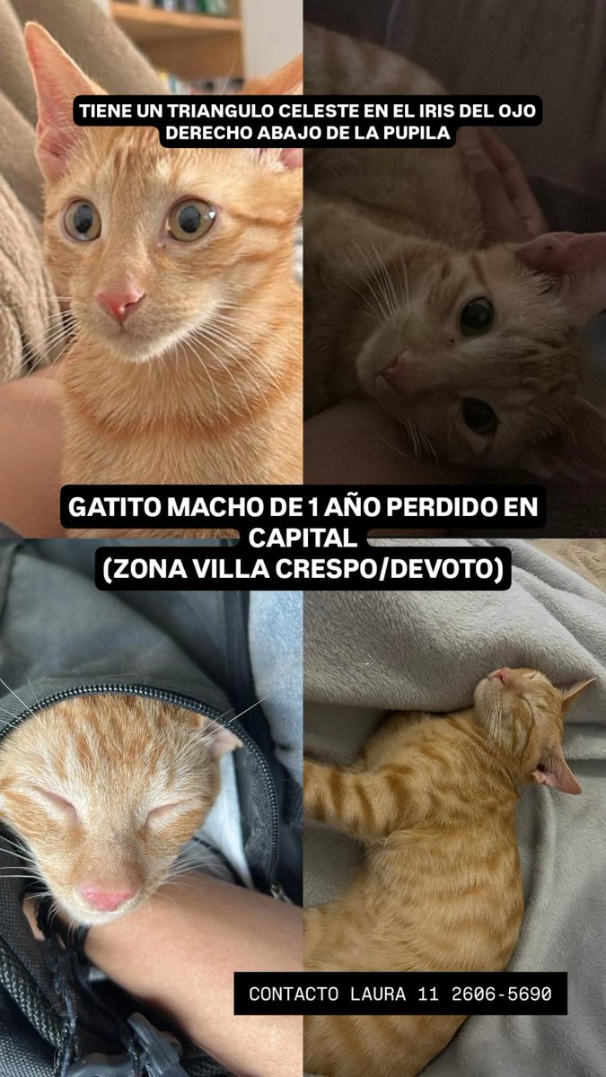 SILVIA TORRES tweet media