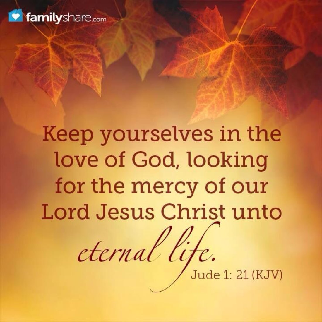 ✝️🇮🇱Justin Ferguson🇮🇱✝️ tweet media