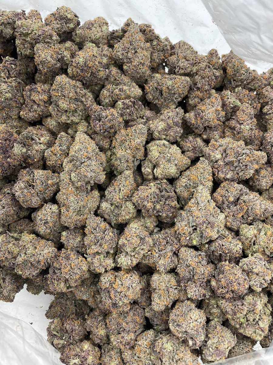 exotics_Weed's tweet image. Lexington &amp;amp; Owensboro 🔥💨🍃 exotics ZAZA heavy KY plug weed bud 859 270 Chronic loud fire bud nugs trees 🚀 DM now 😤 #Weed #Zaza #Lexington #Owensboro