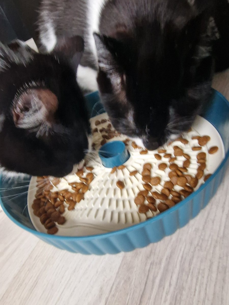 Barrell Titor tweet media