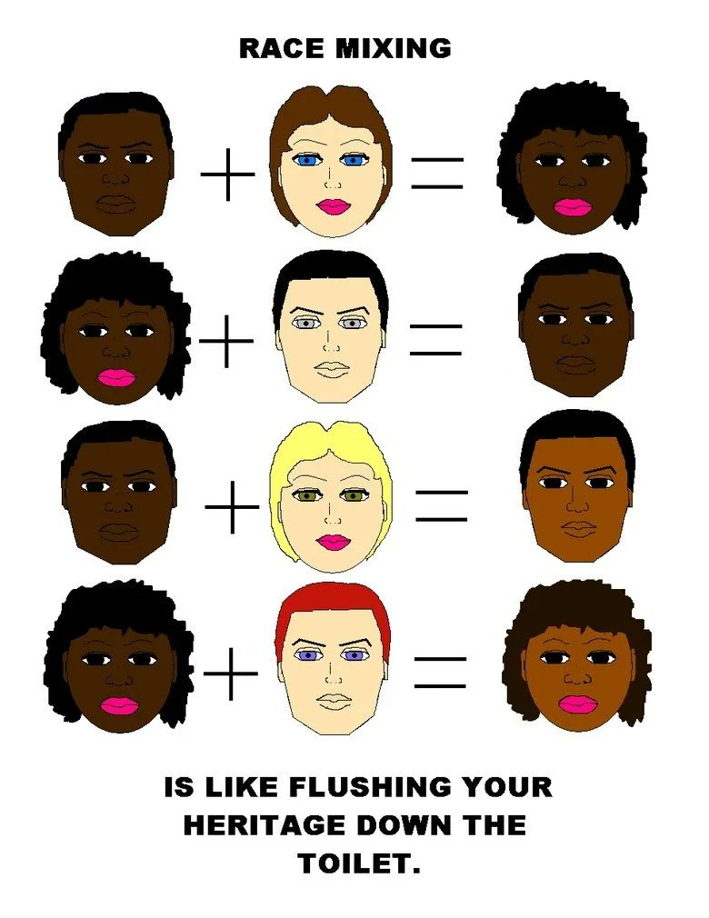 TheWhitePerspective tweet media