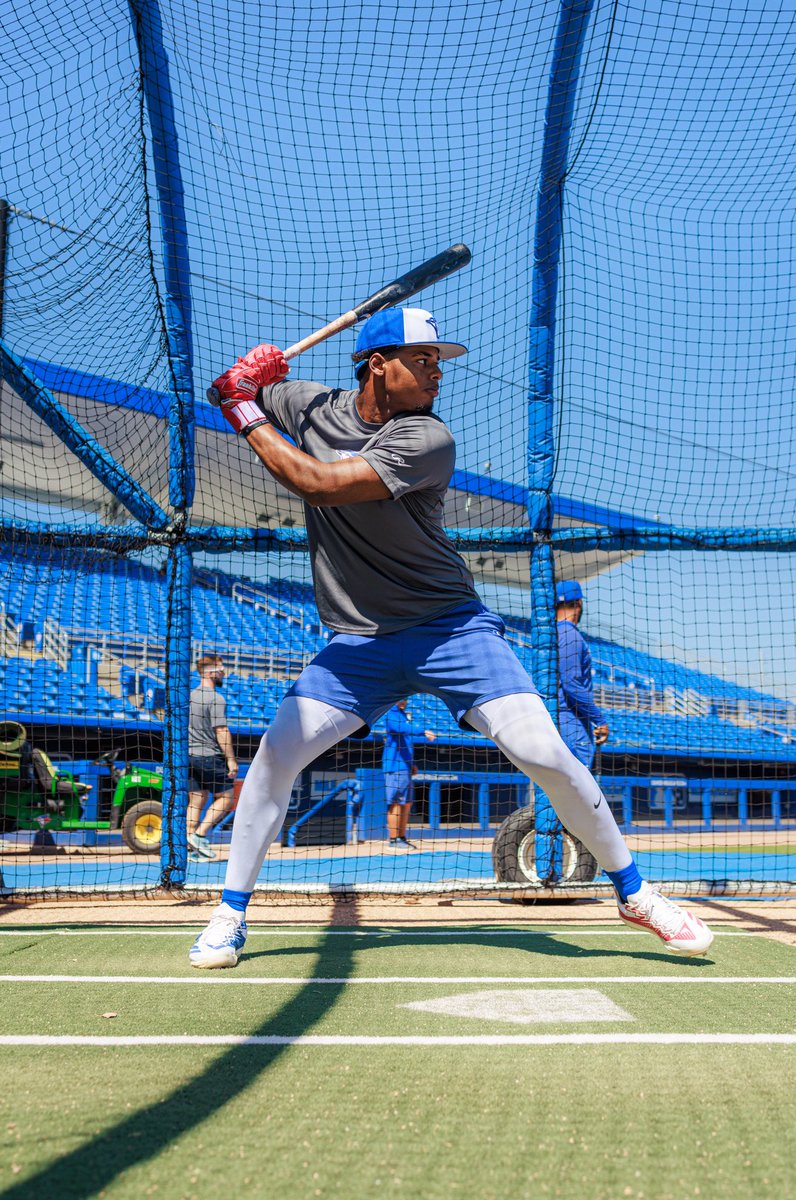 Dunedin Blue Jays tweet media