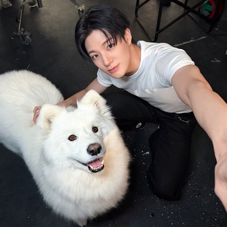 ブルー tweet media