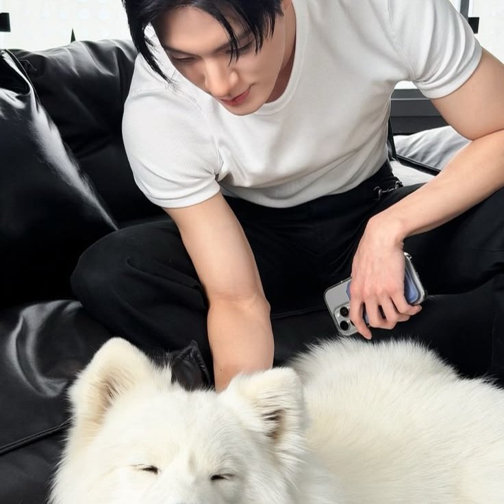 ブルー tweet media