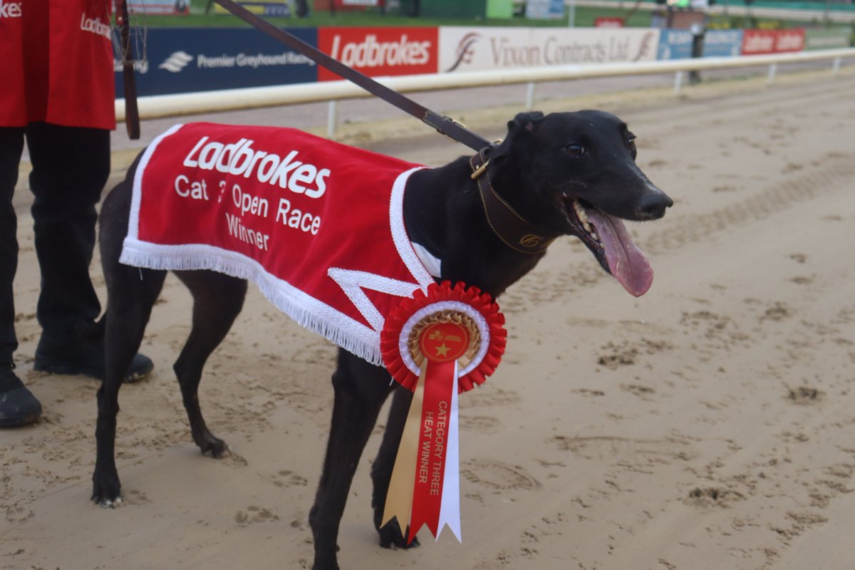 MWDpartnership's tweet photo. Two out of two winners @Monmoredogs this evening!
Newinn Tonic and Armagh Daithi winning the 480 final 🥇🥇 https://t.co/0INI1ojutA
