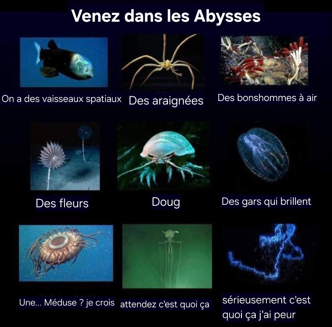 patrick vernou tweet media