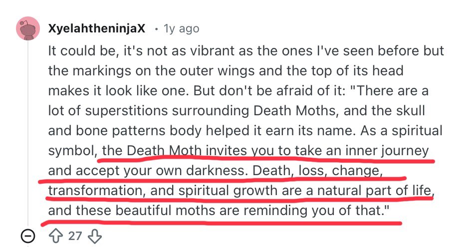 Nina 🍉 tweet media