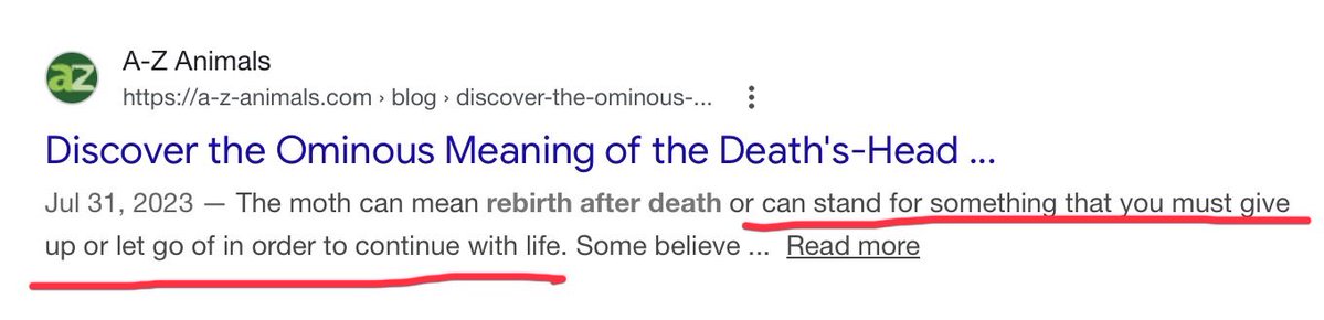 Nina 🍉 tweet media