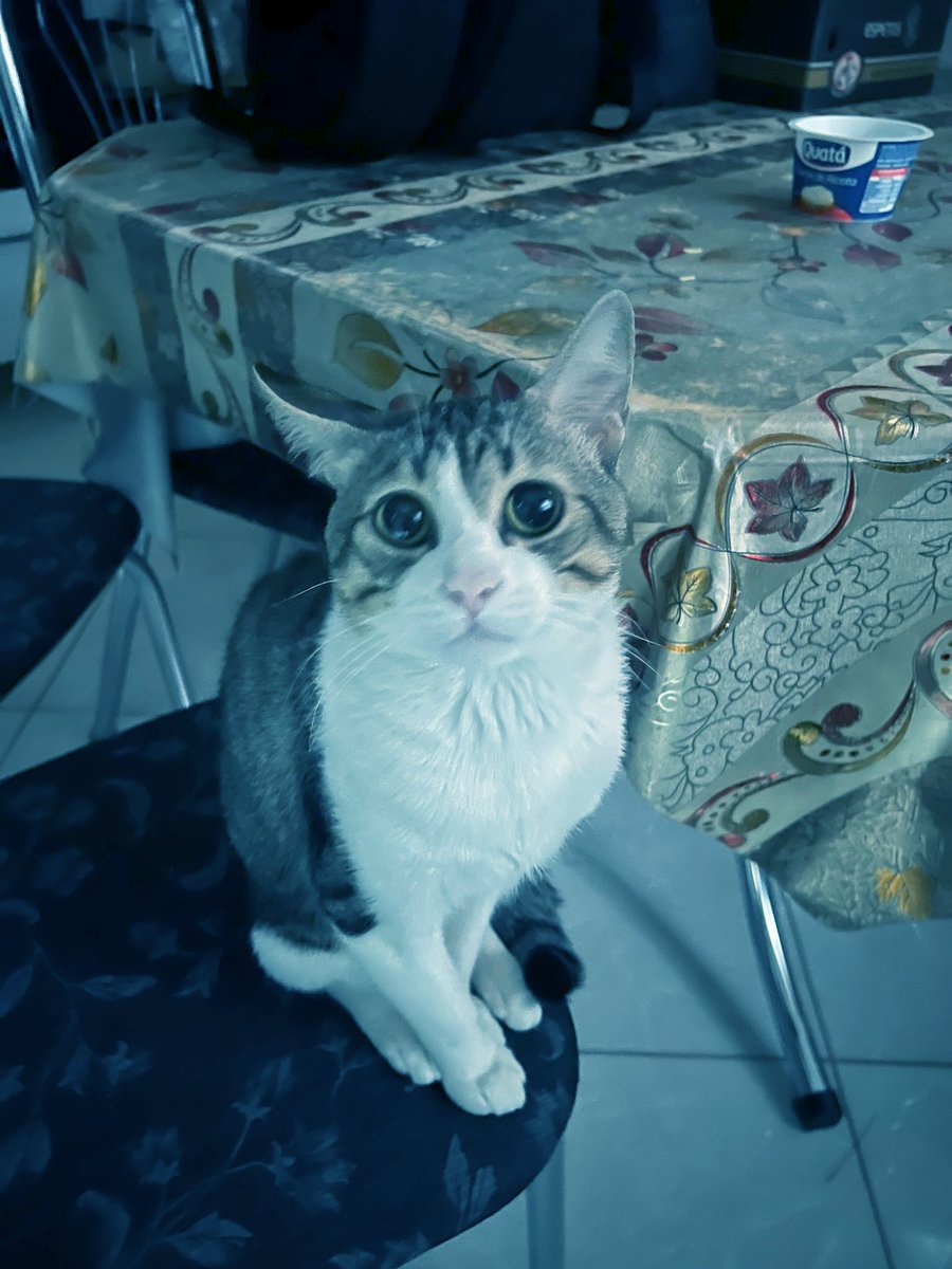 Lily;;🎮 tweet media