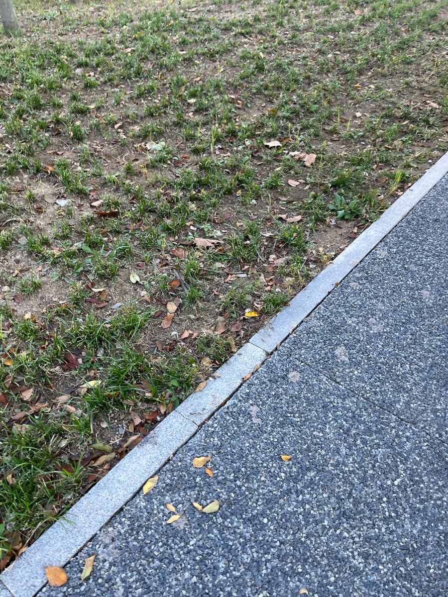 minoo kaur tweet media