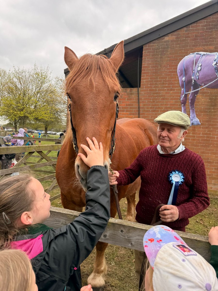 benhall_school's tweet photo. Oaks had a brilliant day at the School Farm &amp; Country Fair! We met amazing animals, tried local produce, saw sheep shearing, planted peas and even brought back three trees. The children loved it- huge thanks to our parent volunteers for their support! https://t.co/uPUHx3beRq