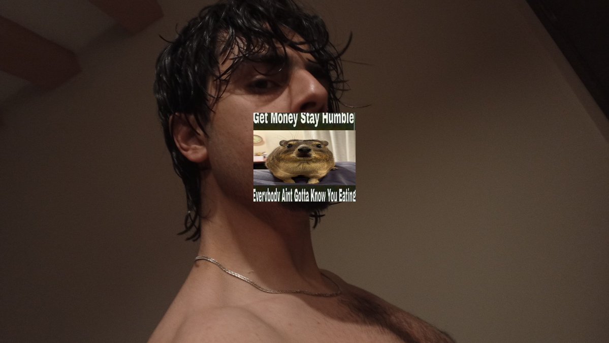 ⛥SYN!🪽 tweet media