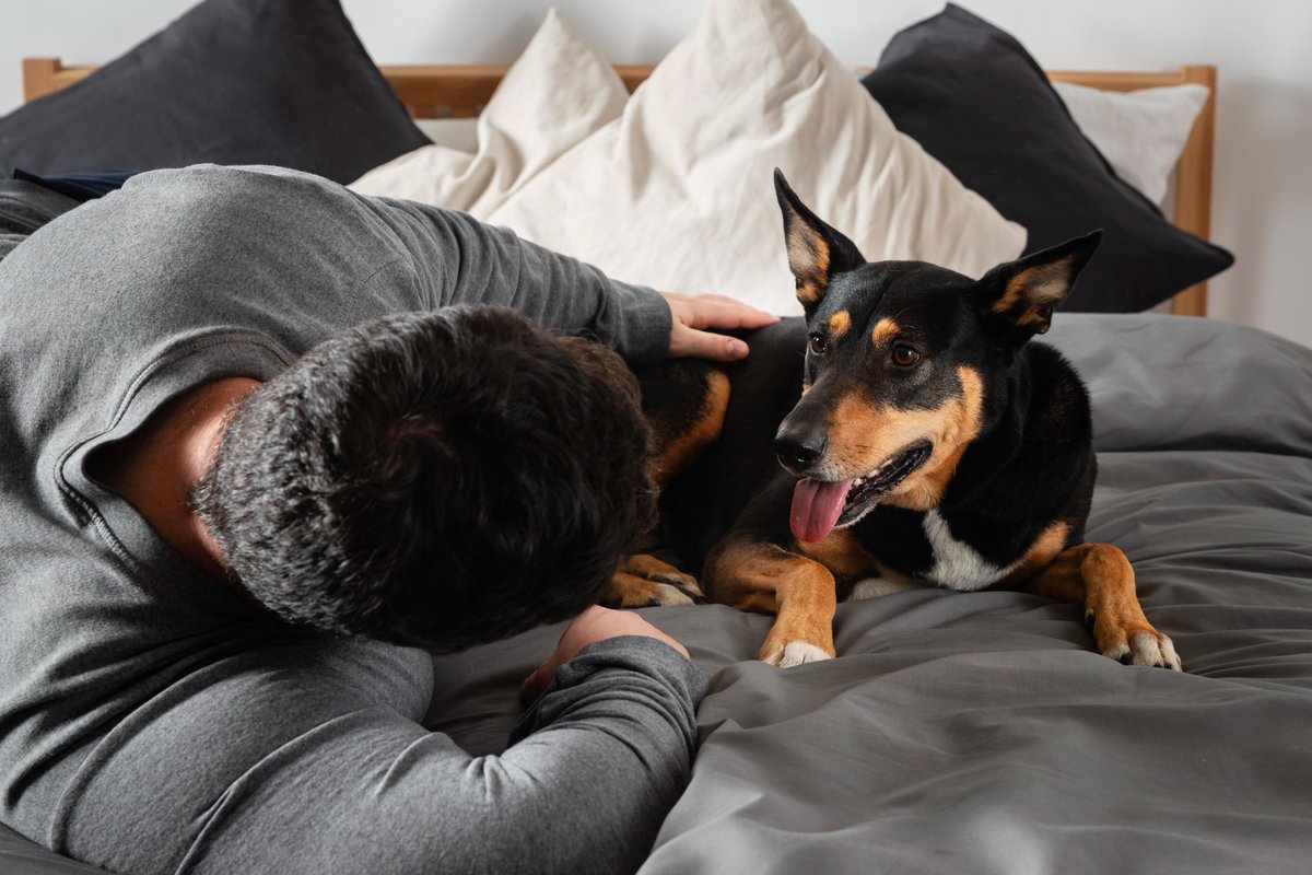 SenadoFederal's tweet photo. Postagem enviada para o #SenadoVerifica afirma que homens poderão ter que pagar pensão para animais de estimação após o divórcio. Essa informação é falsa e distorce o conteúdo do Projeto de Lei (PL) 941/2024 aprovado pelo Senado. Confira a checagem: https://t.co/5pRU840e8y https://t.co/VbYqneWtMB