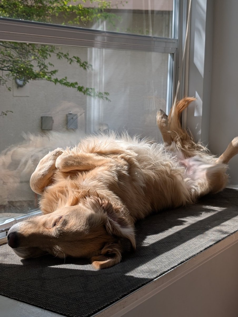 素里肥汉 tweet media