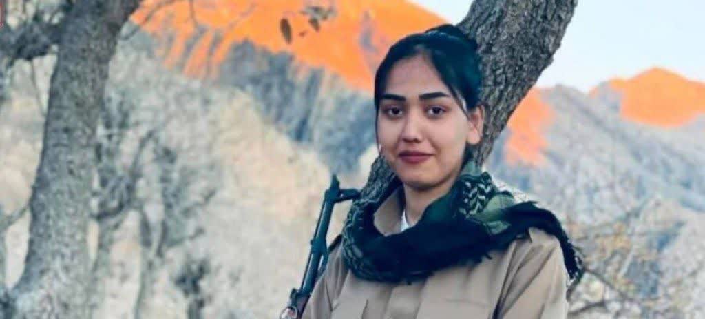 شاپرک tweet media