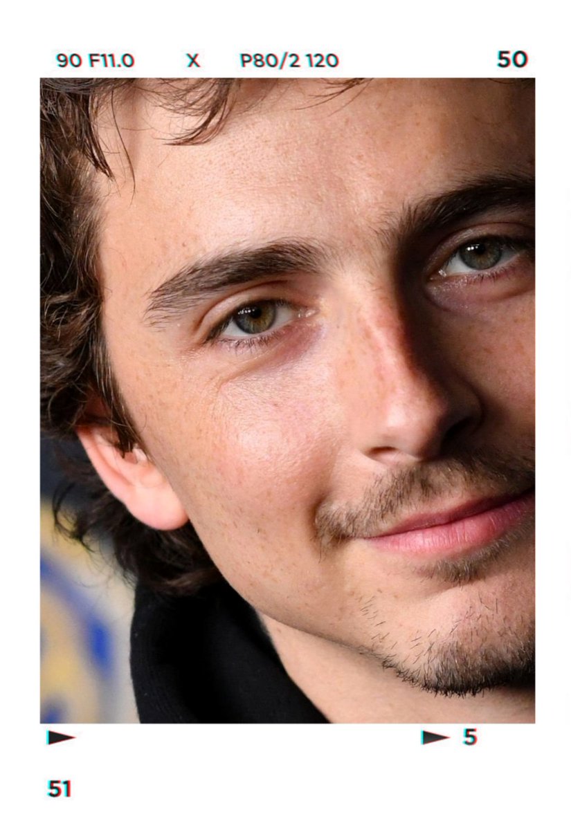 ⓖ 🇦🇺 tchalamet's greatness campaign manager tweet media