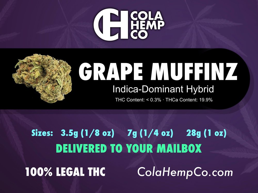 🧁🍇 Grape Muffinz THCa Flower

🚨Warning: the flavor is so good it might tempt you to overindulge—couchlock is very real here.

Federally Legal and delivered to your door US only 21+ only (age verified at checkout) 

Get Some now (while supplies last) 
colahempco.com/product/grape-…