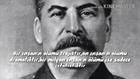nihasilev tweet media