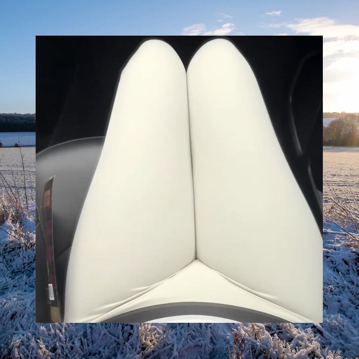 Elizabeth Campbell tweet media