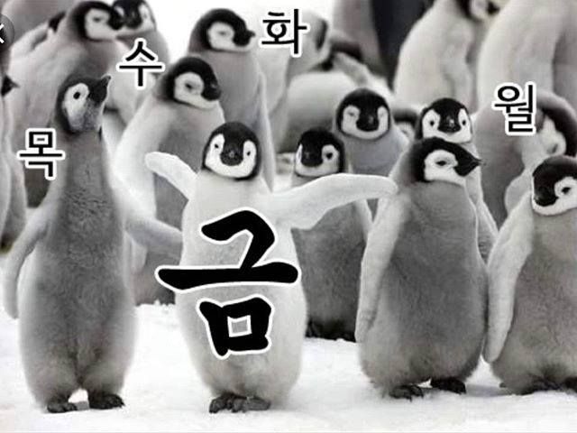 100☘️ tweet media