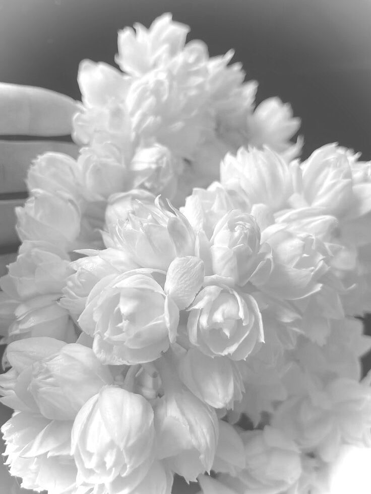 ྀི   ࣪       ׅ     ⊹

ㅤ