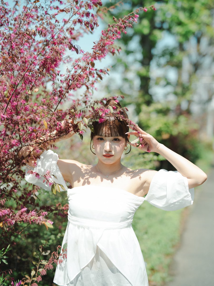 白鳥詩音@photopartner tweet media