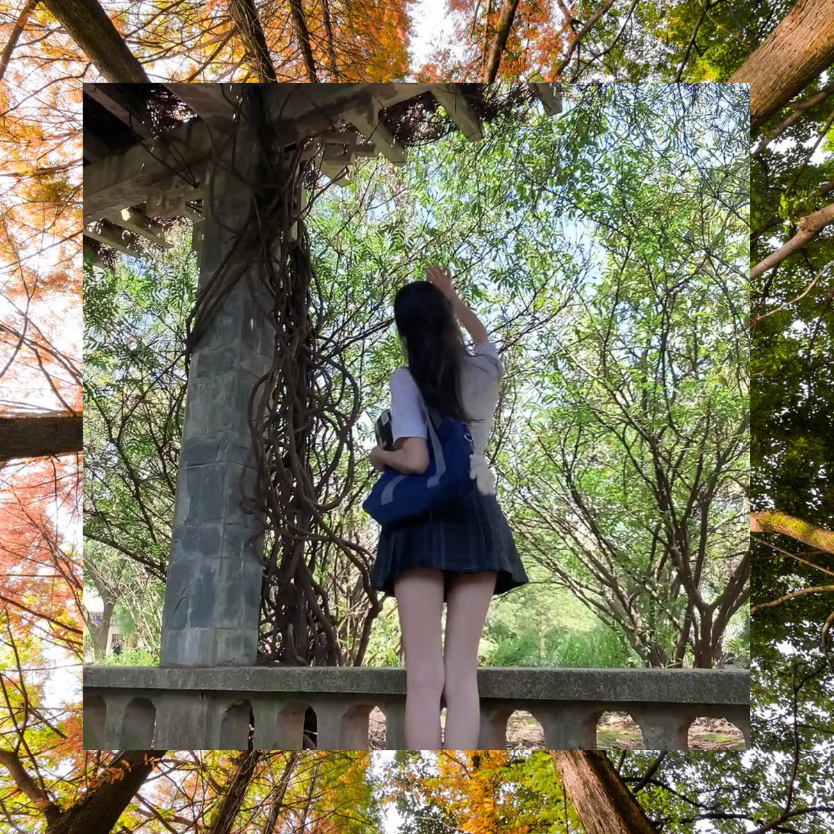 Devon Adler tweet media