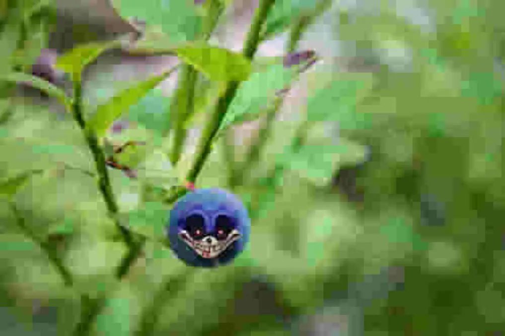 Legit OwnedAt2PM Leaks/News tweet media