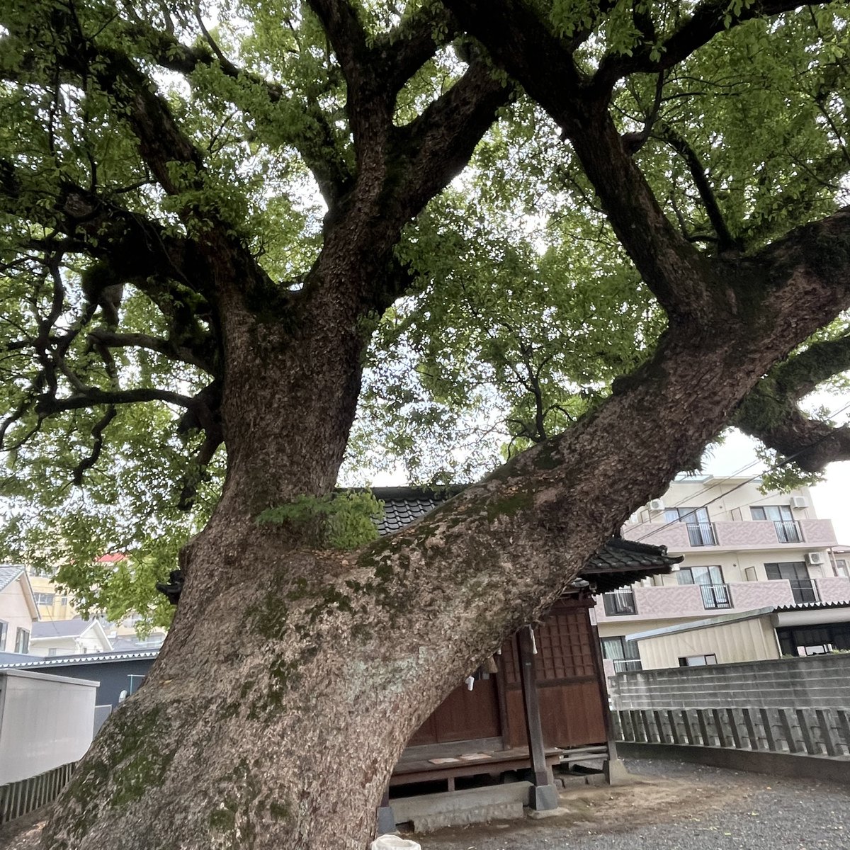 taisei138's tweet photo. https://t.co/226ZyV5PJh