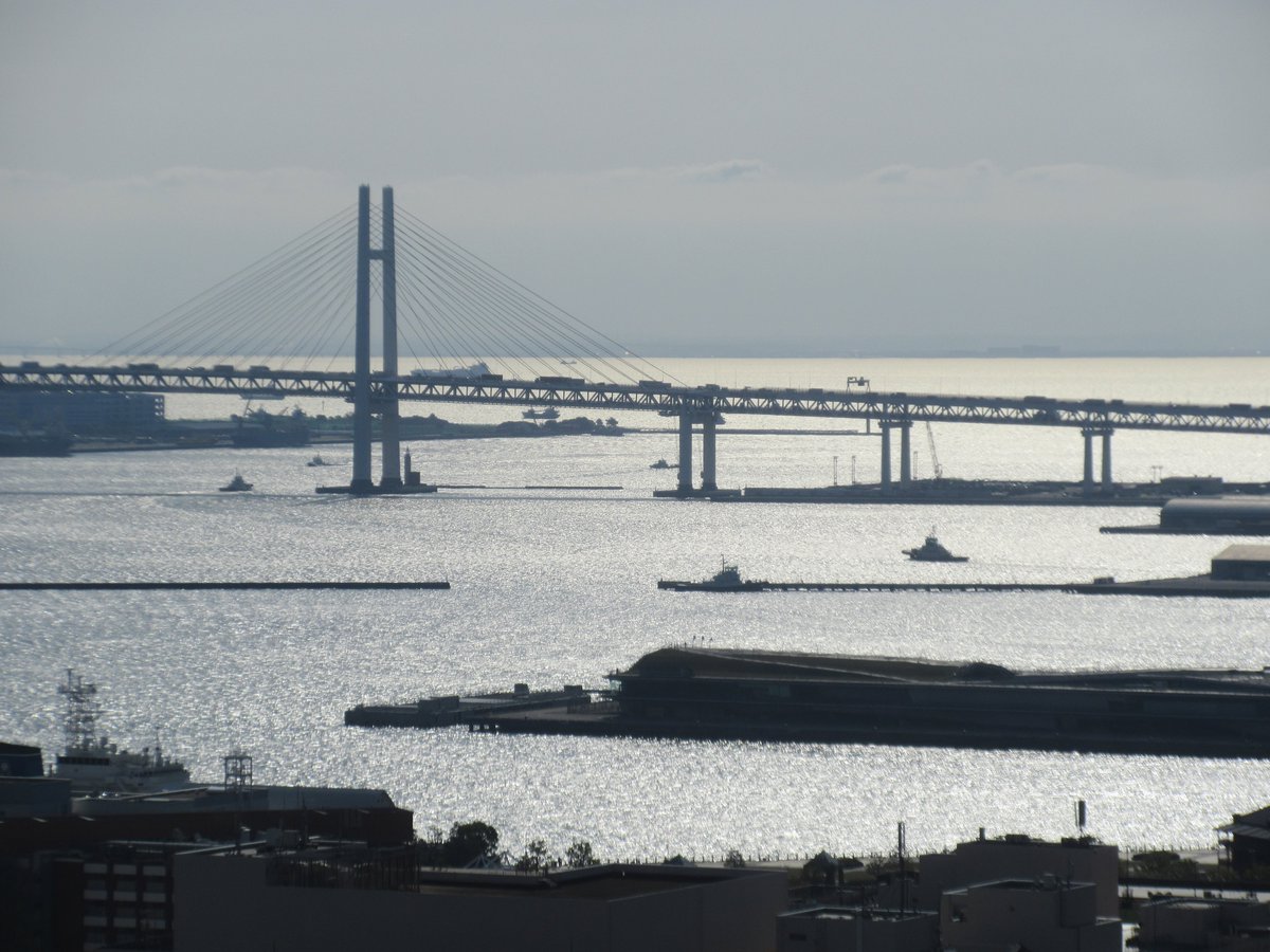 たくり～ tweet media