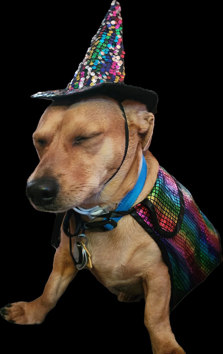 Kabmoon💀🔱🔎🐔🐙 tweet media