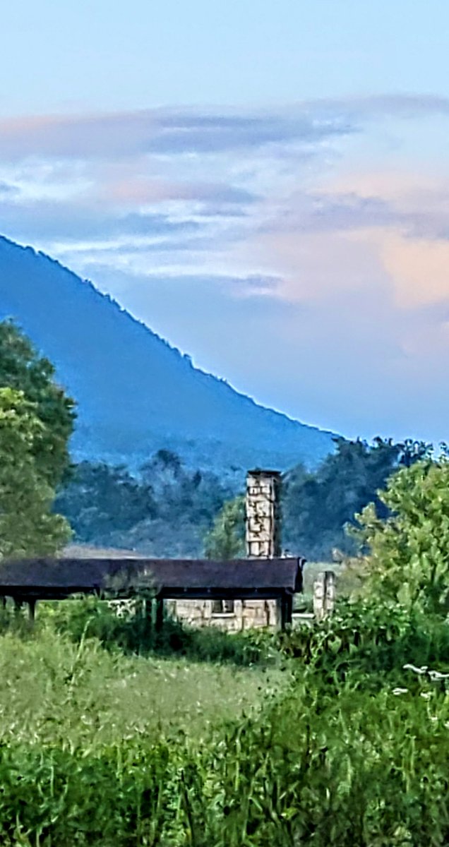 Linda Holder - MamaL_VOLS tweet media