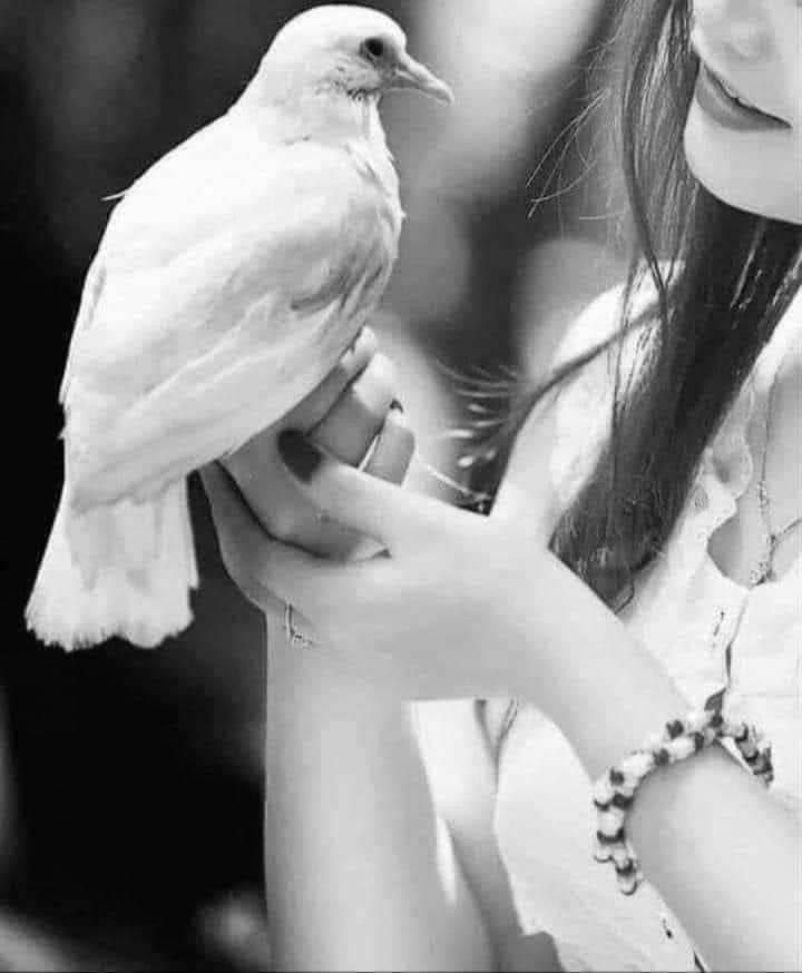 @Maria_Kessler14 tweet media