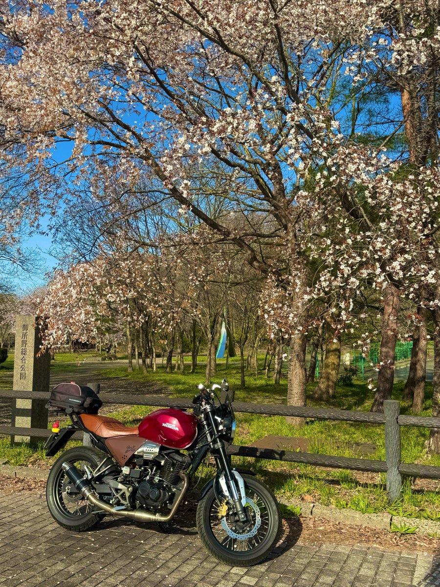 _Ito@🐶(←together 4ever) tweet media