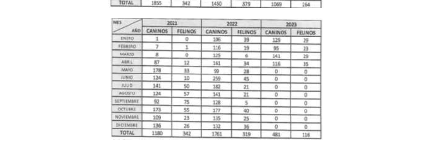 Lucía Hernández | Amo La Ciencia tweet media