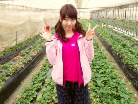 lai ka ming tweet media