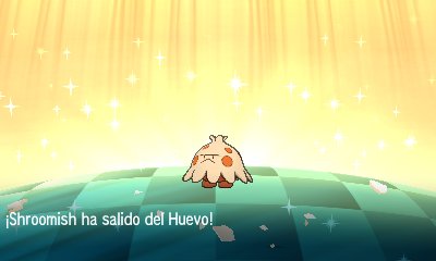 CachaSH12's tweet photo. Shiny Shroomish 🍄✨ https://t.co/S40aWHnqtB