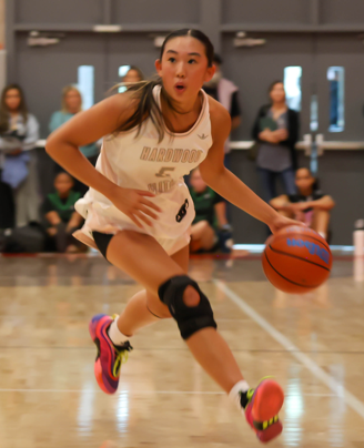 Hoopstracker tweet media