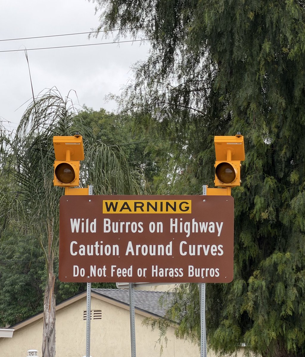 EchevarriaFor's tweet photo. ✨ CANYON SAFETY REMINDERS ✨ 

As a 24 year resident of Reche Canyon, I have been blessed to share our neighborhood with some awesome people and beautiful wildlife. My neighbors regularly inform me of matters happening in our area and I appreciate the information. https://t.co/cOYbhuQNsu