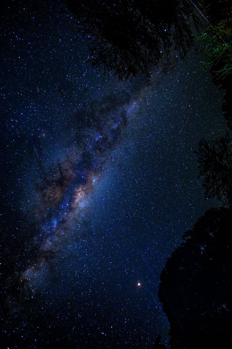 Space 8K tweet media