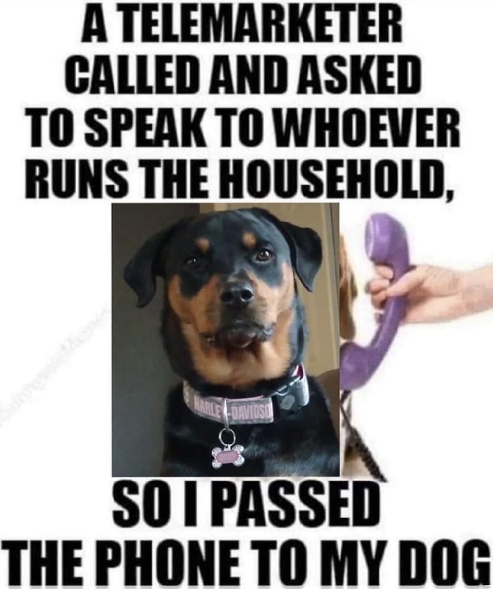 jbm32753's tweet image. 🌜NiteyNight🌛 Resister Sisters and Brothers👍🙏❤️❣️ Joke of The Night For All Resisters ❣️#Resist🔥#VOTEBLUE2026
#TheResistance #RETWEET❤️🇺🇸
2NITE’S FAVORITE!!!!!!!