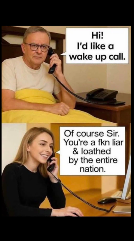 diane mckenzie tweet media