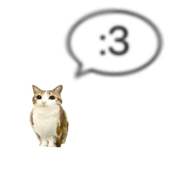 mizo ︎︎◝✩ tweet media